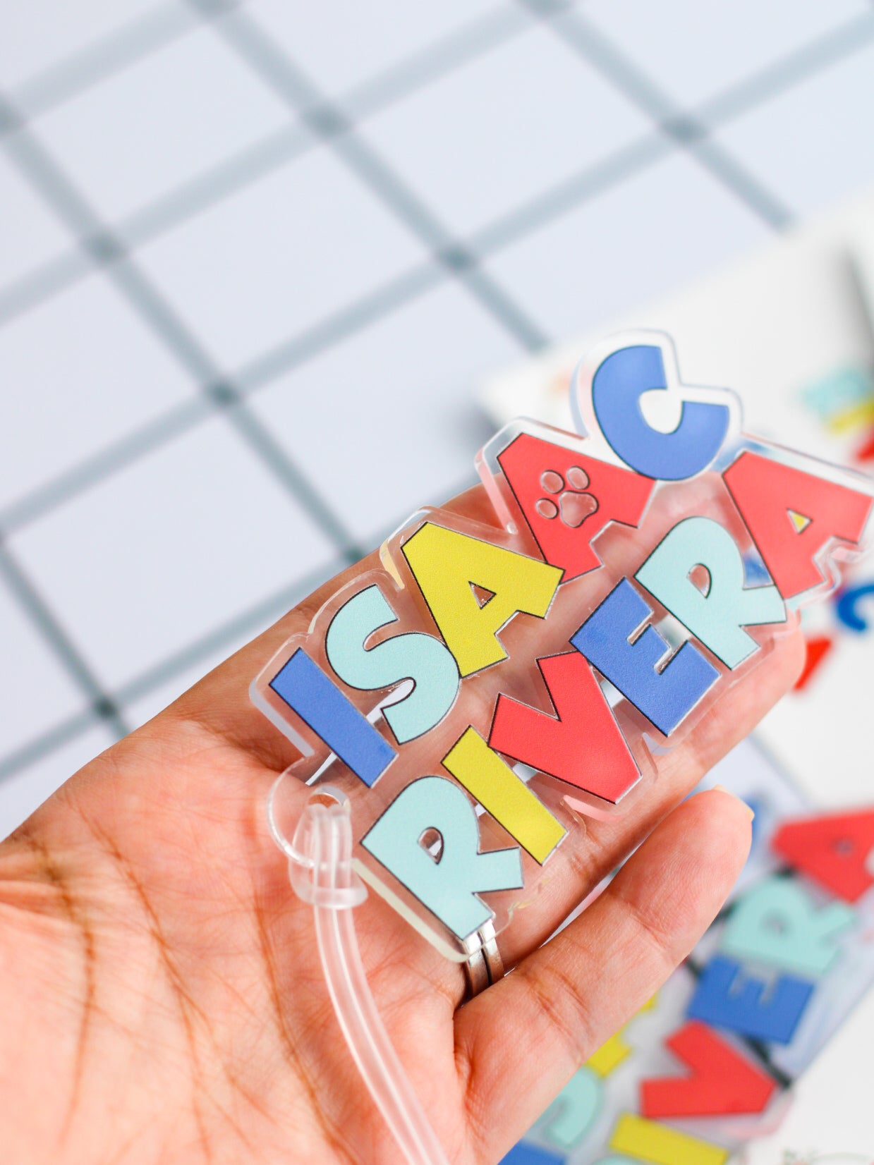 BACK TO SCHOOL Set - Paw Patrol (Concept)