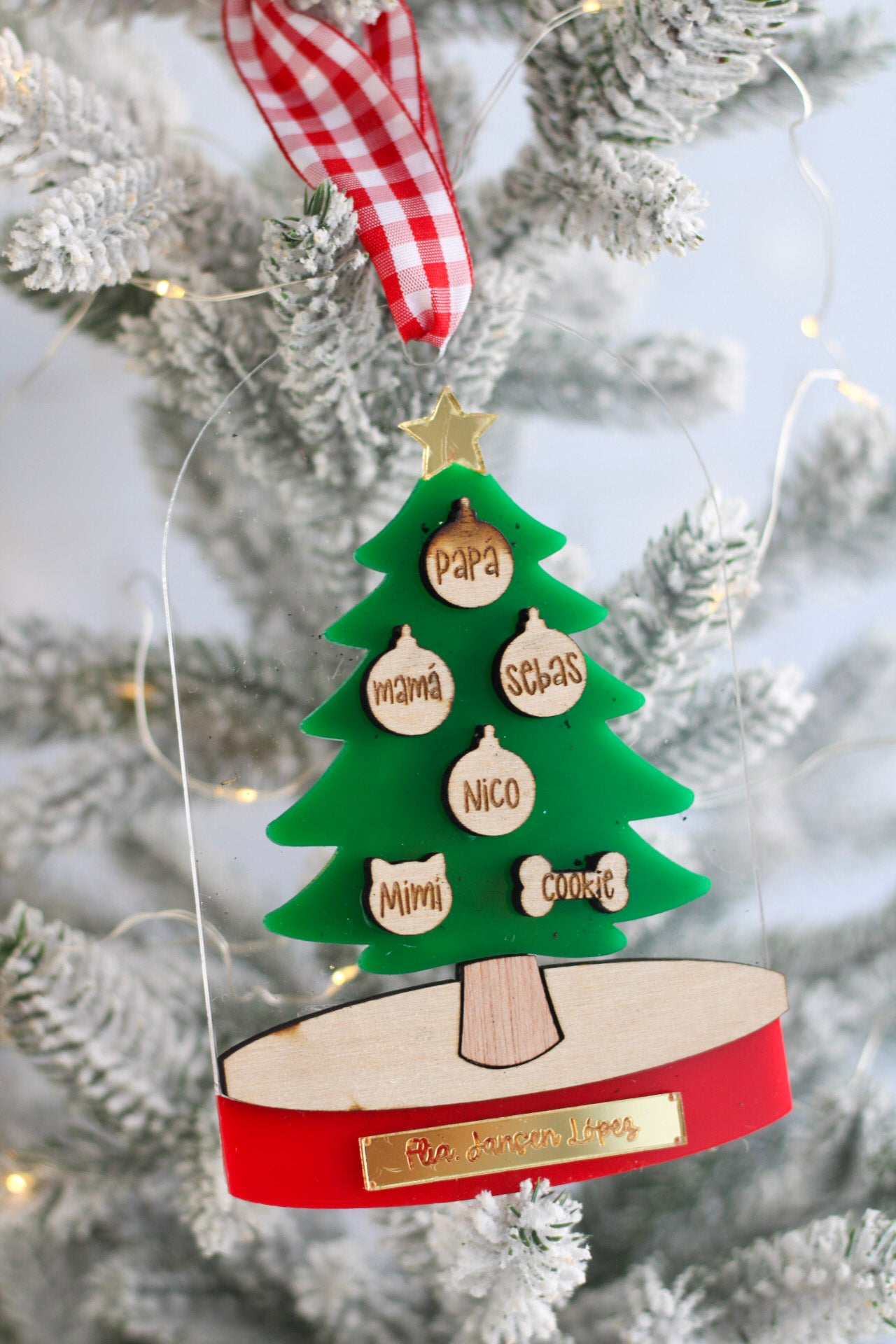 Ornamento Navideño - Family Dome