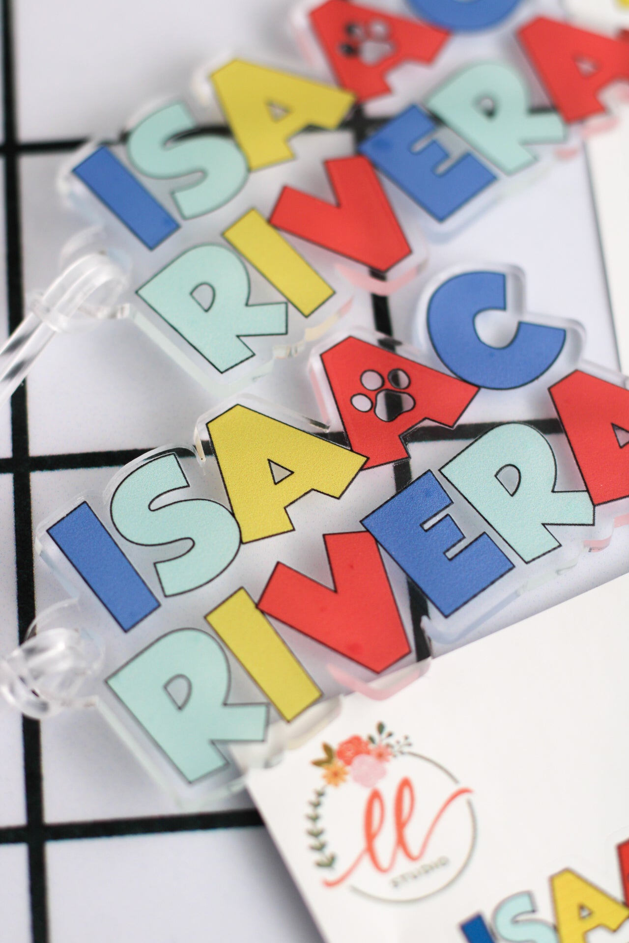 BACK TO SCHOOL Set - Paw Patrol (Concept)