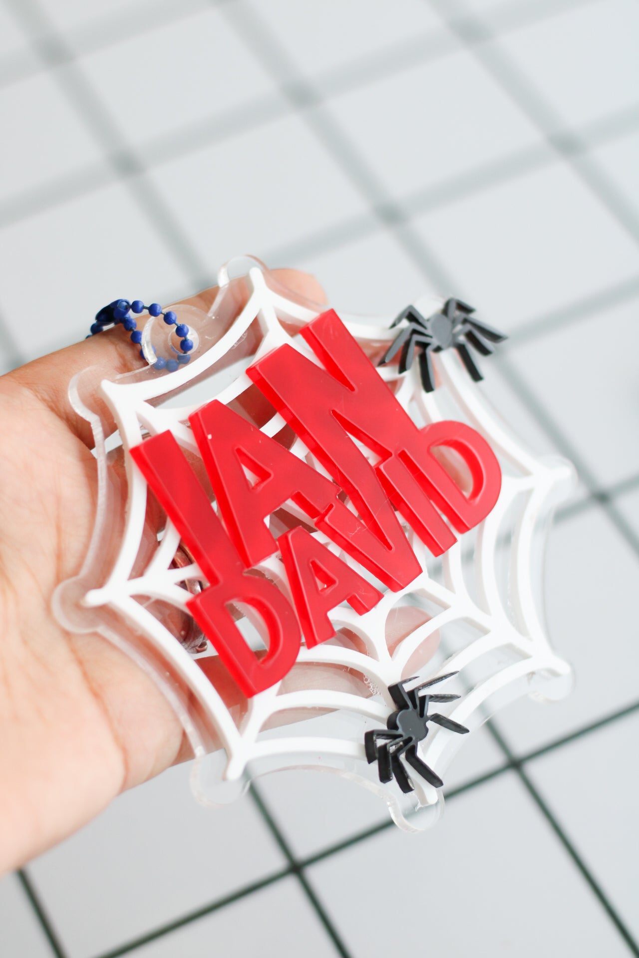 BACK TO SCHOOL Deluxe Set - Spider Man’s Web