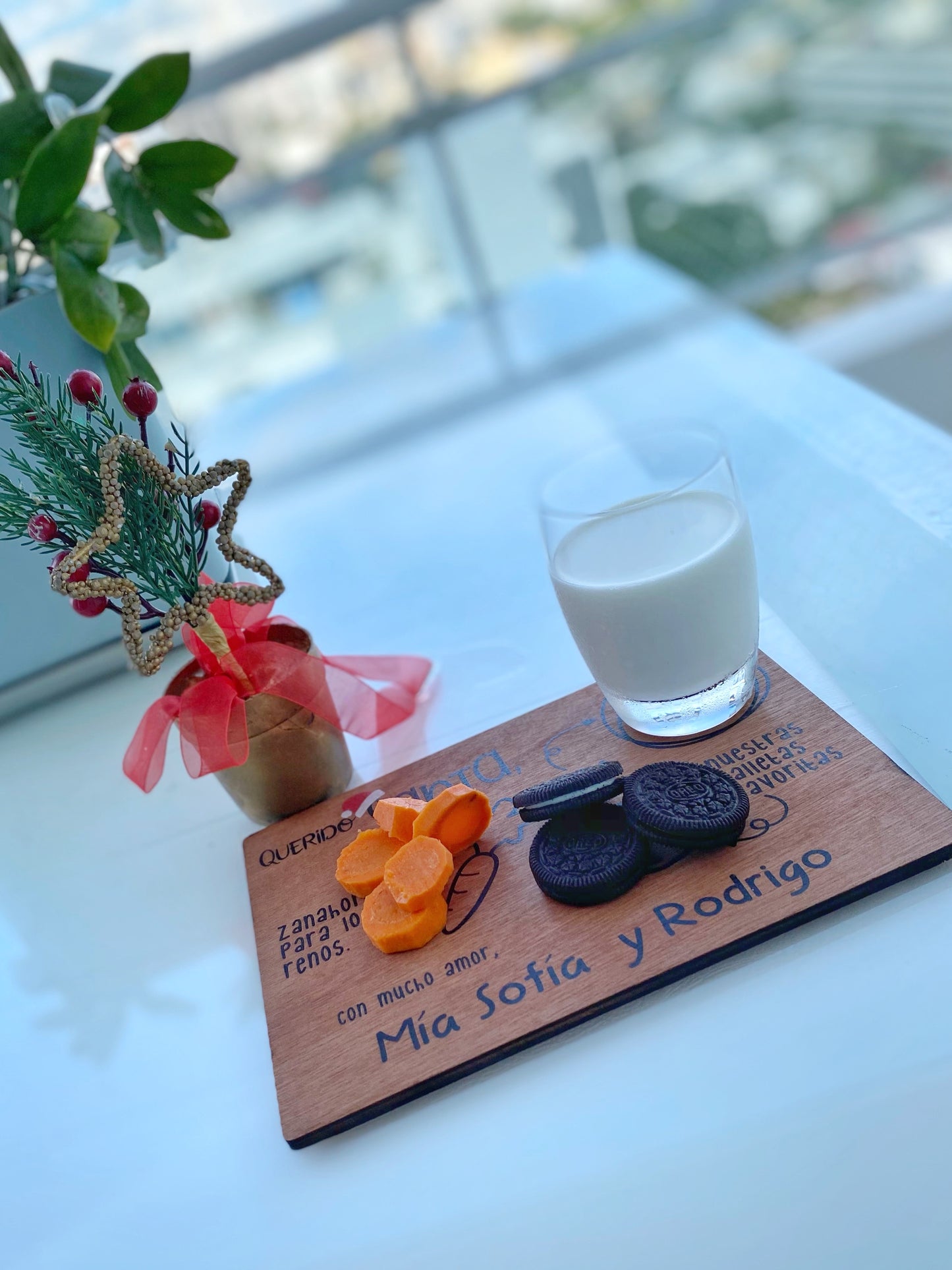 Treats for Santa - Tray