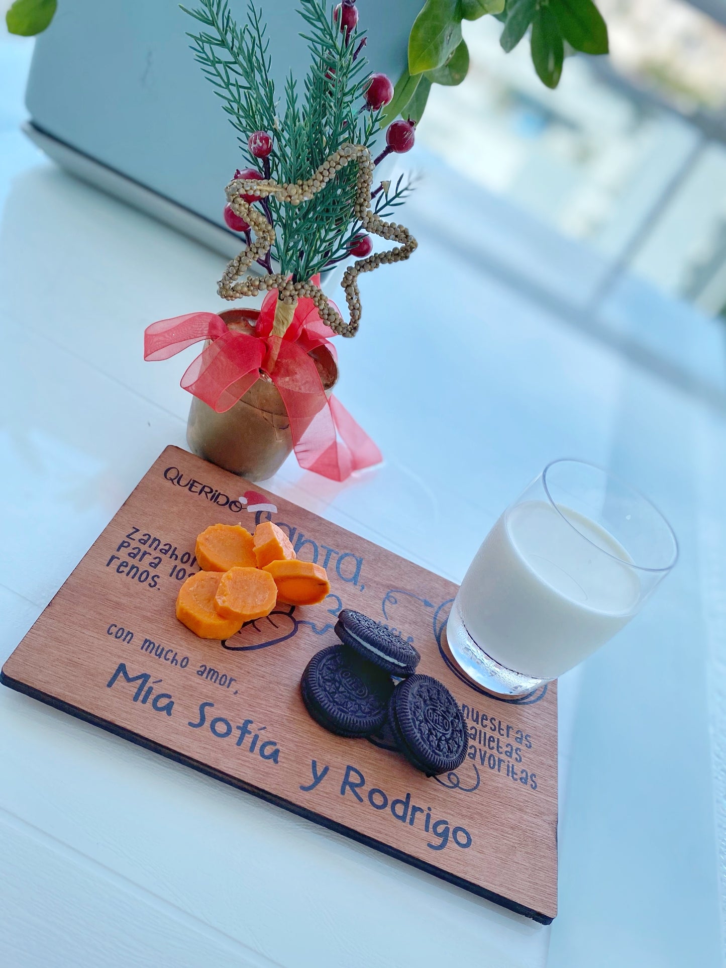Treats for Santa - Tray