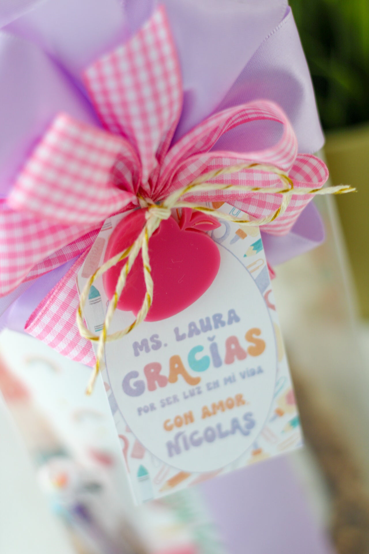 Skinny Tumbler Full Gift Set- Teachers Favorite Kit