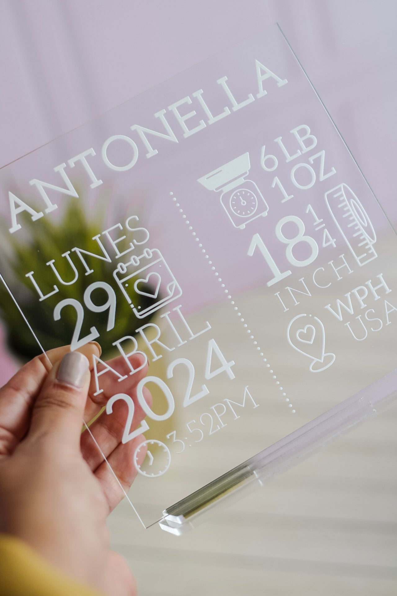 Cuadrito "BABY FACTS" Personalizado
