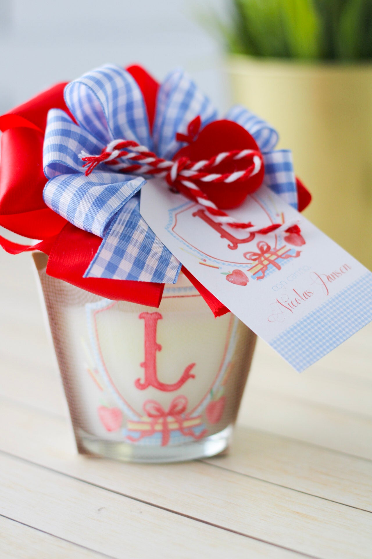 Luce de Vita | Miss Teacher Edition