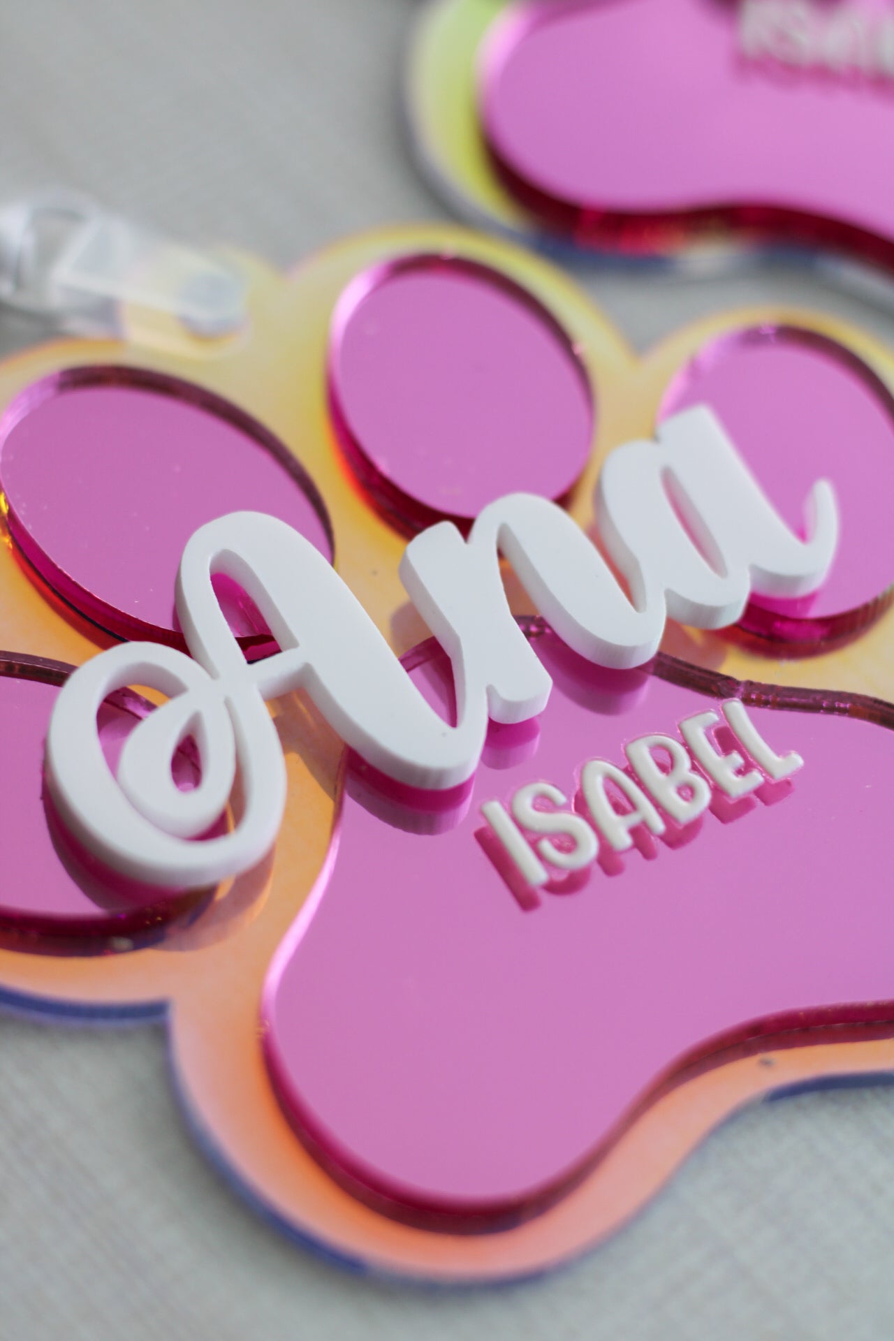 BACK TO SCHOOL Deluxe Set - Pretty Paw