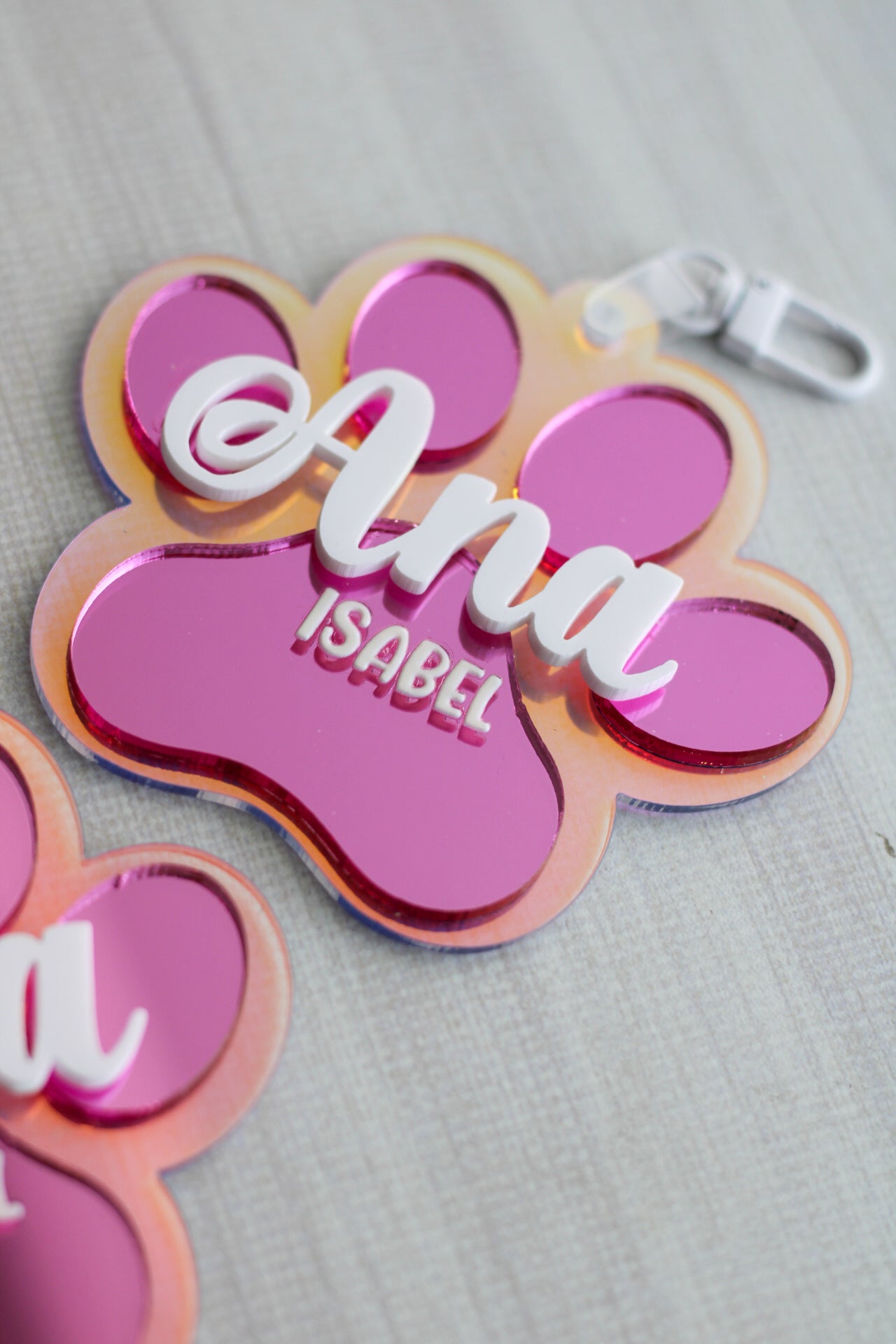 BACK TO SCHOOL Deluxe Set - Pretty Paw