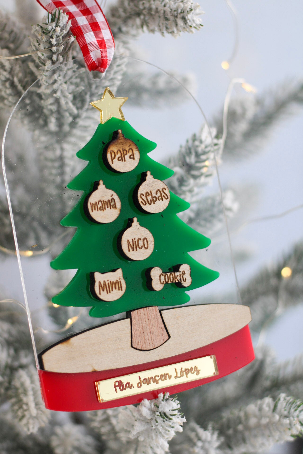Ornamento Navideño - Family Dome