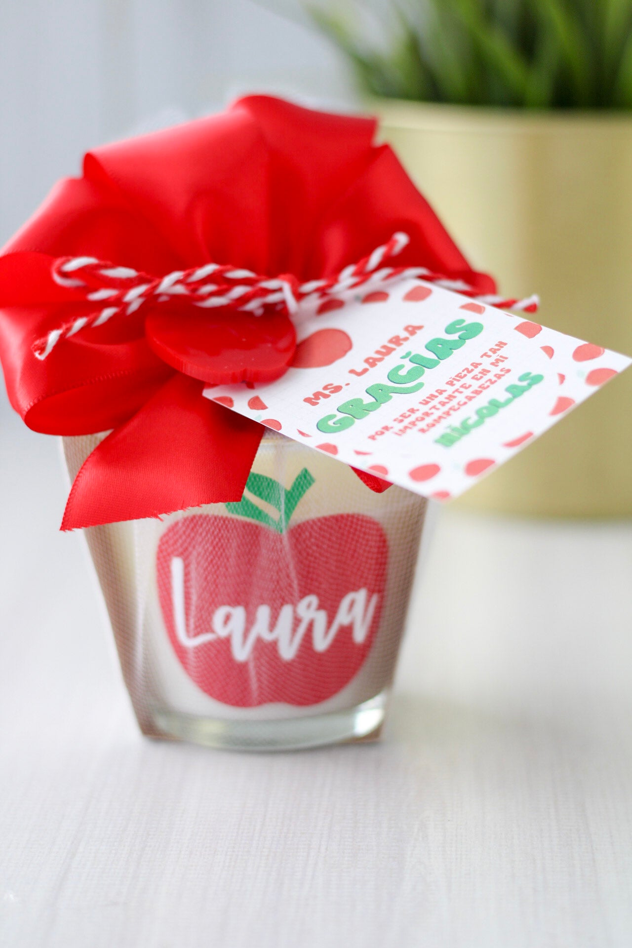 Luce de Vita Gift Set | Teachers Edition