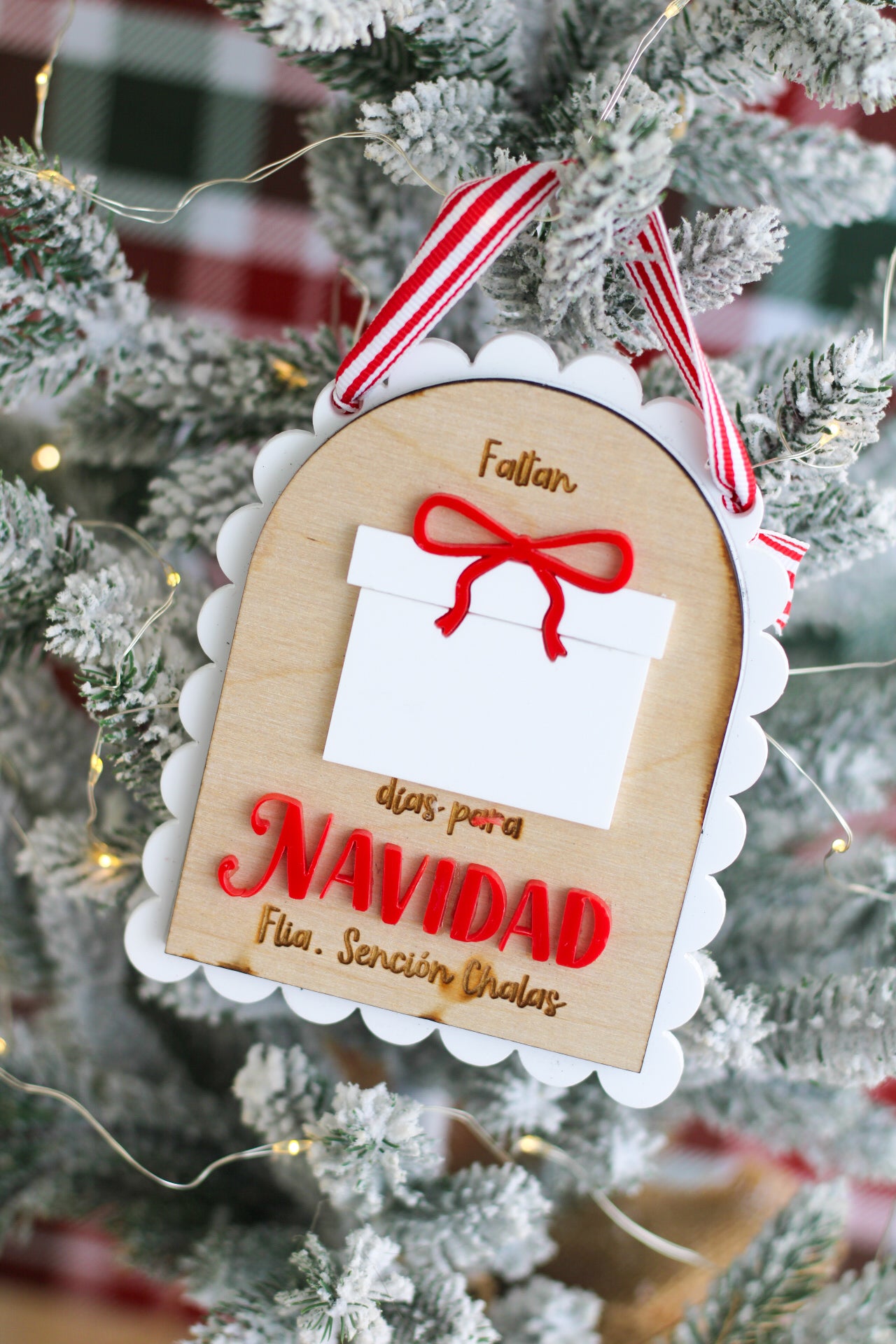 Countdown for Christmas “Gift”