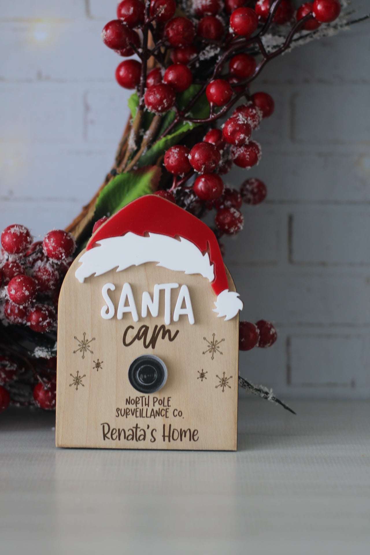 Santa Cam