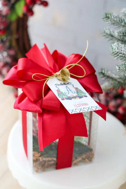 Mug Gift Set Tartan Teddy en caja clear con lazo rojo - LL Studio
