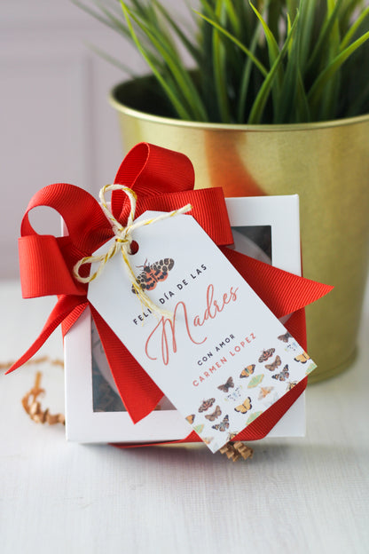 Ring Dish Deluxe Gift Set Farfalla - LL Studio